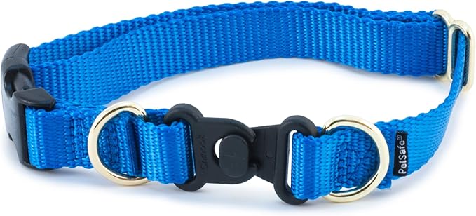 PetSafe KeepSafe Break-Away Collar 1 in Wide, Medium, Royal Blue Prevent Collar Accidents for Your Dog or Puppy Improve Safety, Compatible with Leash Use, Adjustable Sizes