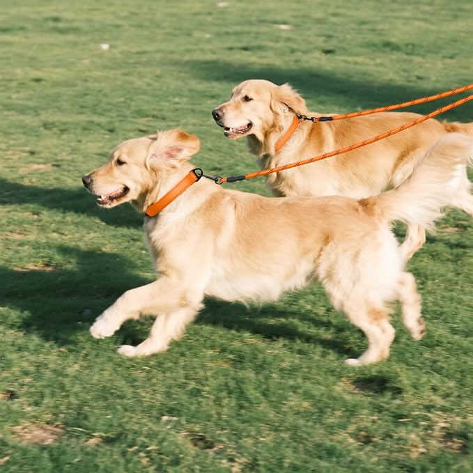 Taglory Double Dog Leash Coupler for Two Dogs, 1/3" Lightweight Dual Leash Extension for Small and Medium Dogs, No Tangle 360° Swivel, Reflective Rope, 30 Inch, Orange