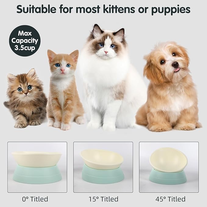 Bulldog Bowl Anti-Slip Dog Cat Dish Detachable Rubber Dog Bowl Pet Sterile Tilted Pet Feeder Slope Base (Green, 3.5 Cup (Medium/Large Dog))