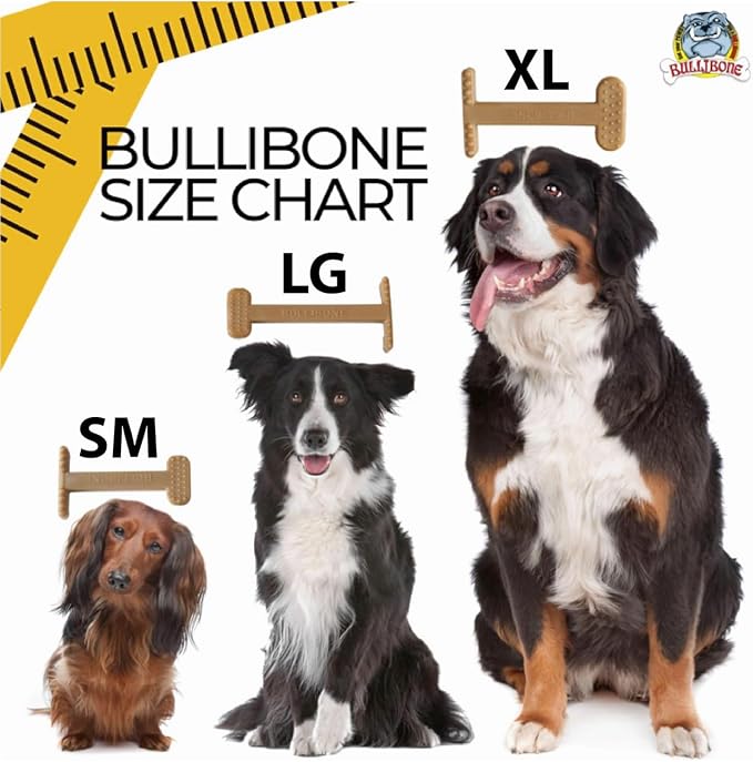 Bullibone Nylon Dog Chew Toy for Aggressive Chewers - Dental Hygiene Bone with Beef Flavor, Durable Tough Chew Toys for Large Dogs, Indestructible Dog Bone - Single