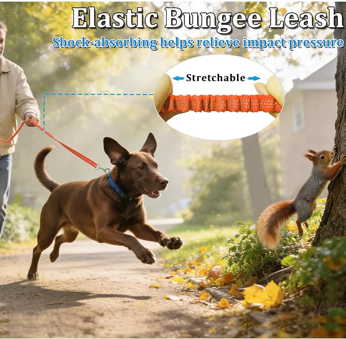 WYuZe 4 FT Bungee Dog Leash for Strong Small Dogs - Reflective, Shock Absorbing, Elastic Nylon Leash with Padded Handle for Safety Comfort No Pull Walking Training (Orange, 3/4"-Wide)