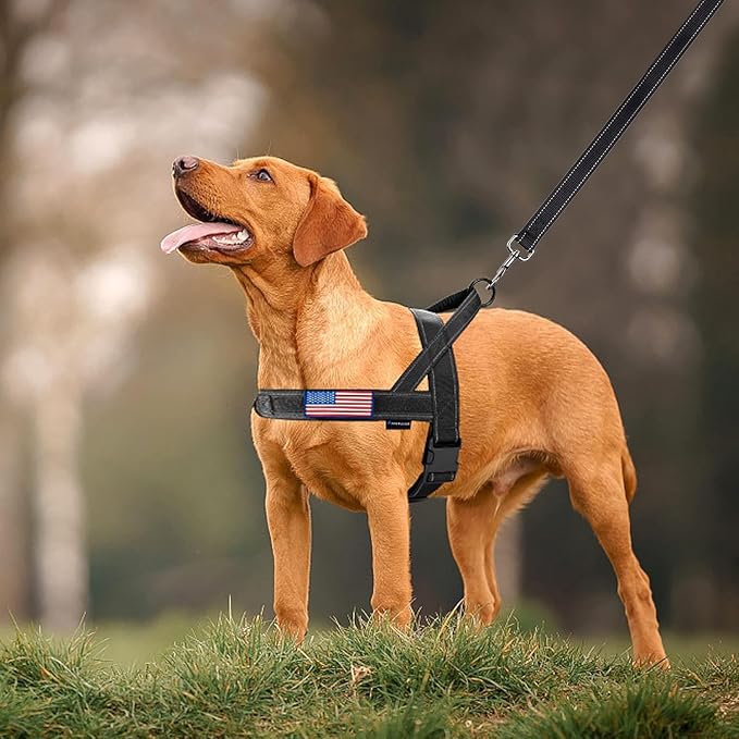 Annchwool No Pull Dog Harness with Padded Handle+5 Ft Leash,Reflective Strip Escape Proof and Quick Fit to Adjust Dog Harness,Easy for Training Walking for Small & Medium and Large Dogs(Black-Set,L)