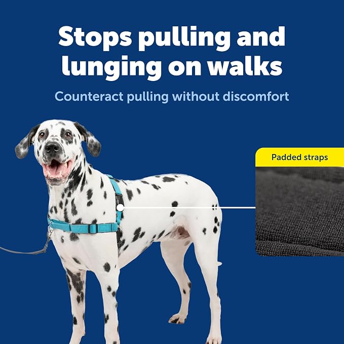 PetSafe Easy Walk Deluxe Dog Harness, No Pull Dog Harness Perfect for Leash & Harness Training Stops Pets from Pulling and Choking on Walks Large, Ocean