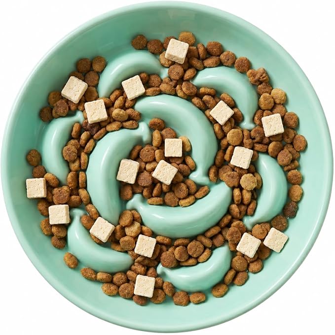 Ceramic Cat Slow Feeder Bowl - 6.3'' Wide Opening Whisker Friendly Cat Plate for Dry and Wet Food - Cute Maze Feeder Dish Helps Reduce Vomiting - Microwave and Dishwasher Safe - Green