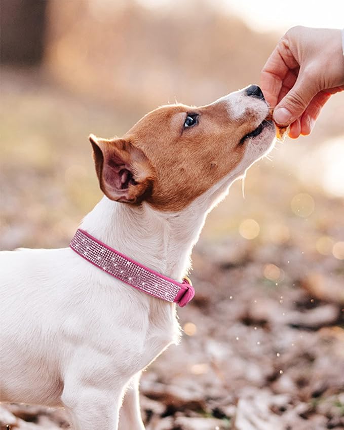 Dog Collar for Small Dogs, Adjustable Leather Suede Bling Dog Collars，Rose Red Dog Collar Cat Collar, Rhinestone Dog Collar (XS, Rose red)