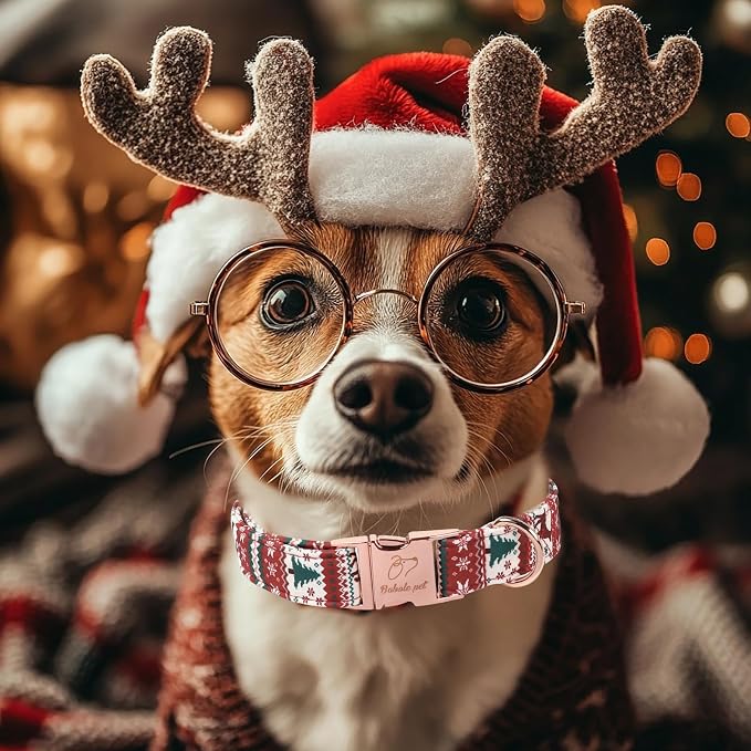 Christmas Dog Collar for Medium Dogs - Fair Isle Style Christmas Collars for Dogs, Cute Reindeer Snowflake Winter Heavy-Duty Adjustable Dog Collars with Metal Buckle M