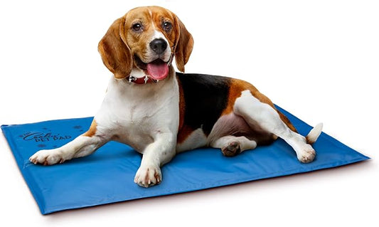 K&H Pet Products Coolin' Pet Pad Dog Mat, Portable Dog Cooling Mat for Travel or in Home, Perfect for Carriers, Crates, Outdoor Houses, Yards, Porches, Pet Beds & More - X-Large 38 X 27in Chill Blue