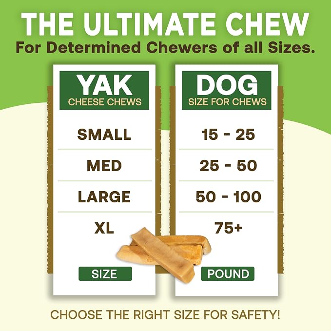 EcoKind Yak Cheese Himalayan Dog Chews, Yak Chews for Large Dogs, Long Lasting Bone for Aggressive Chewers, Only 3 Ingredients, Natural High Protein Treats, No Additives, Lactose Free, Large - 1 Chew