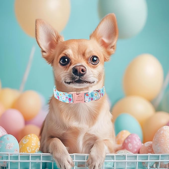Easter Dog Collar, Cute Blue Bunny Easter Collar for Boy Girl Dogs, Adjustable Heavy Duty Spring Holiday Dog Collars for Small Medium Large Dogs with Metal Buckle L