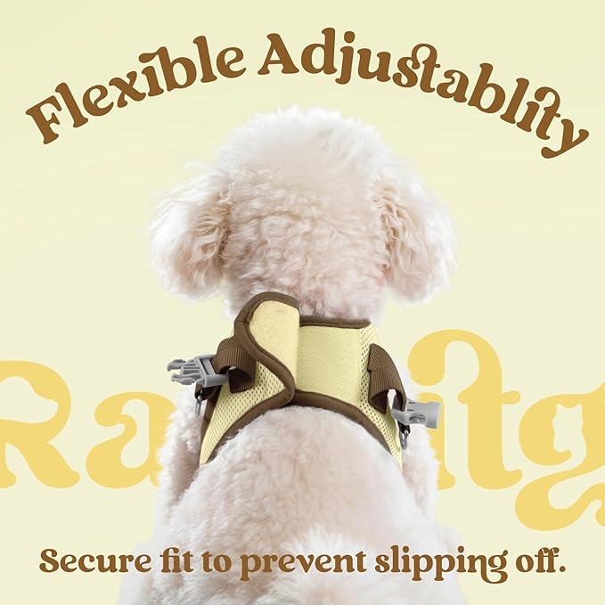 rabbitgoo Dog Harness Small Sized and Leash Set, Step-in Breathable Pet Harness, Soft Walking Reflective Puppy Vest for Small Dogs, Beige & Coffee, S