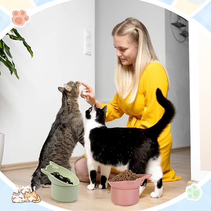 Funnymoom 2 Pack Silicone Cat Slow Feeder, Elevated Slow Feeder Cat Bowl for Dry and Wet Food, Tilted Design with Non Slip Base, Adjustable Angle for Pet(Green and Brown)