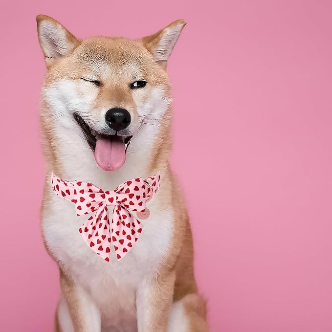 Valentine's Dog Collar & Bow Tie Set,UP URARA PUP Soft & Comfortable Pet Collar with Premium Plastic Buckle for Small, Medium, Large Dog,XL