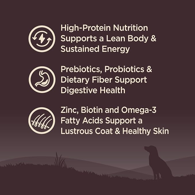 Wellness CORE Adult Dry Dog Food, Grain Free Kibble, Natural, High Protein, Turkey and Chicken Recipe, 12 lb Bag