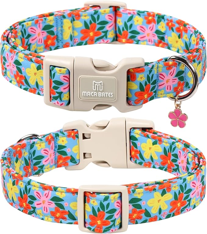Maca Bates Flower Basic Dog Collar with Blossom Charm for Extra Small Girl Boy Dogs, Hand-painted Floral Pattern,Pretty Adjustable Durable Soft Flowers Collars Spring Summer Gift for Male Female Puppy