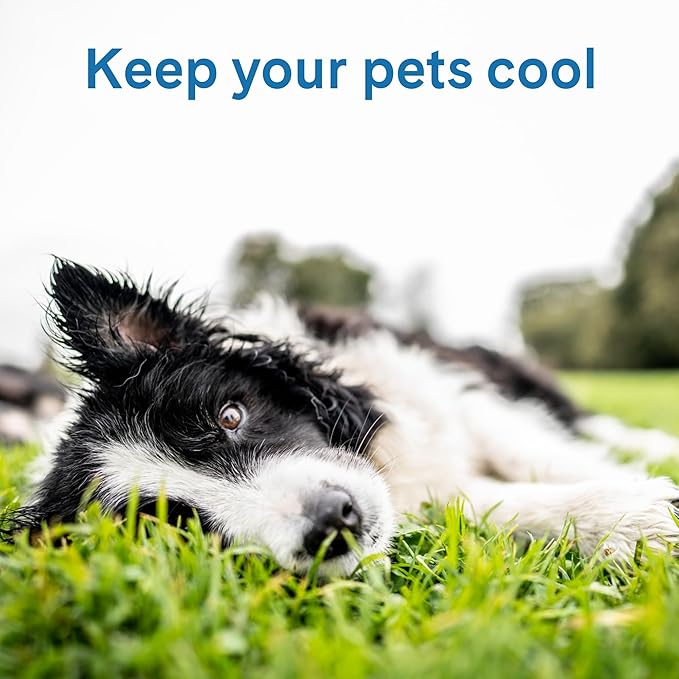 The Green Pet Shop Cool Pet Pad - Extra Small, Latte- Self-Cooling, Pressure Activated Mat for Dogs & Cats from 0-8 lbs - Non-Toxic Gel, No Water Needed