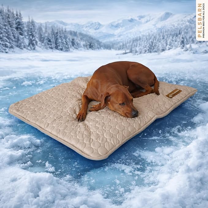 Pelsbarn Dog Cooling Mat- Ice Silk Summer Comfort, Self Cooling, Non-Slip Dog Pad, Durable & Washable, Mat for Large Dogs 25 x 37, Support Shelter Dogs with Every Purchase (Beige)