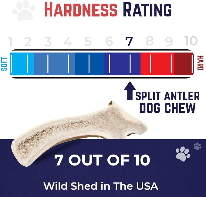Devil Dog Pet Co. Split Elk Antlers for Dogs, Natural Dog Chew with Exposed Marrow - Long Lasting and Odor Free - USA Sourced - Cleaner Teeth, Anxiety & Boredom Relief - Medium 5"+ - Antler Bone