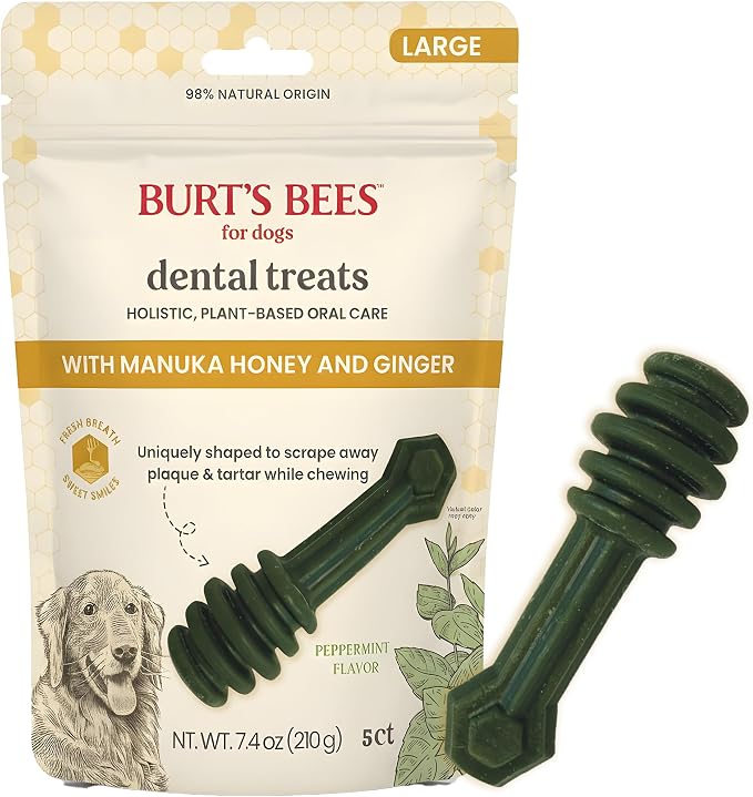 BURT'S BEES FOR PETS Dental Treats for Dogs with Manuka Honey & Ginger, 98% Natural Origin, Holistic Oral Care, Freshens Breath, Peppermint Flavor, Medium/Large Size, 5 ct, 7.7 Oz
