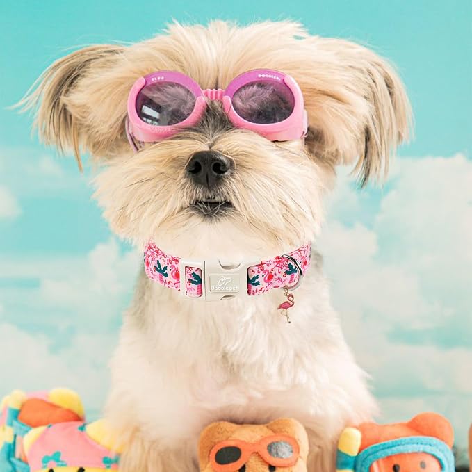 Summer Dog Collar Pink Flamingo Dog Collars for Small Dogs - Lightweight Adjustable Cute Male Female Dogs Everyday Collar with Quick Release Buckle S