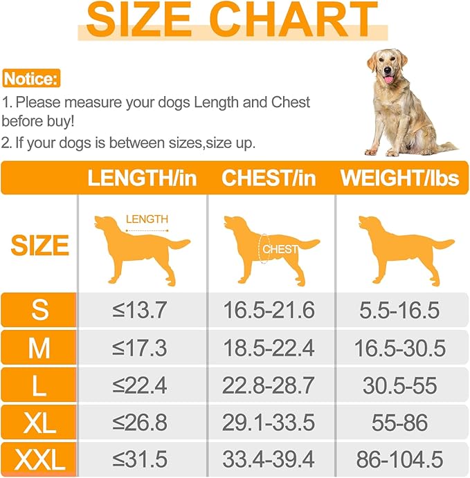 Bienbee Dog Bathrobe, Quick Drying Super Absorbent Pet Robes for Small Medium Large Dogs, Drying Coat for After Bath & Swim, Warm & Cozy Dogs Towels, Dog Puppy Bath Supplies, Light Blue XL