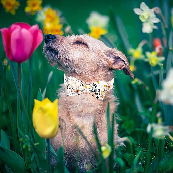 Elegant little tail Dog Collar, Floral Pattern Pet Collars with Bow Girl Cotton Bowtie Collars Spring Puppy Gift Adjustable Pet Collar for X-Large Dogs