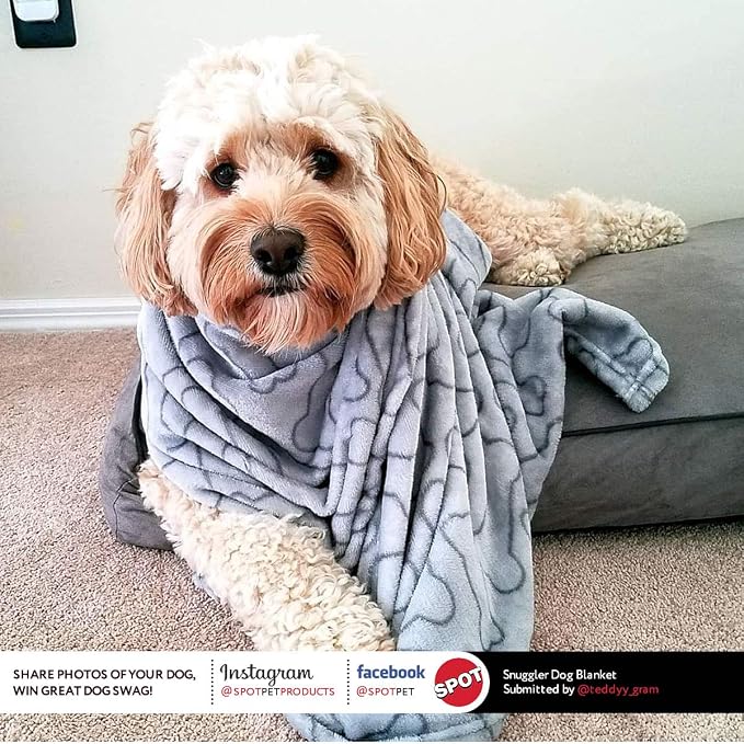 SPOT Snuggler Bones Blanket - Ultra Soft, Machine Washable Dog Blanket for Beds, Furniture Protection, Travel, and Crates - 40 x 60 inch, Grey Fleece Throw with Bone Print Design