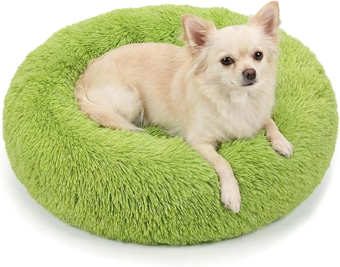 Calming Donut Dogs Beds for Small Dogs Washable,19inch Fluffy Round Puppy Bed for Puppies,Cats & Toy Breeds with Raised Rim,Fits up to 15 lbs Pets,Green