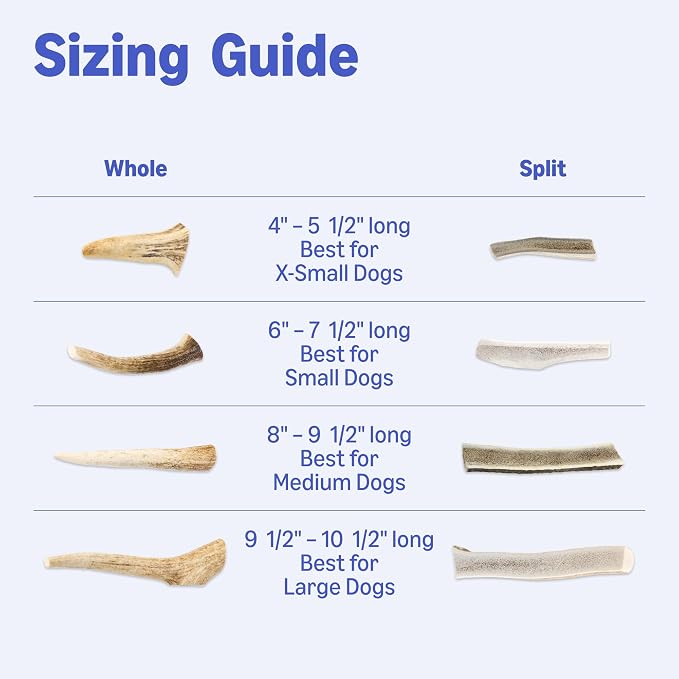 Amazon Basics Split Elk Antler, Naturally Shed, Long Lasting for Aggressive Chewers, Medium (Best for Dogs 15-30 lbs) (Previously Wag)