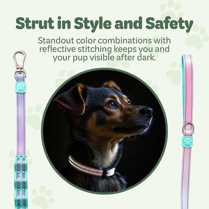 Desired Things Bungee Dog Leash Reflective Training Leash with Shock Absorbent Spring, Emergency Pull Handle, Collar Latch, D-Ring Buckle for Dog Treats, Poop Bags, Puppy Essentials - Pink and Blue