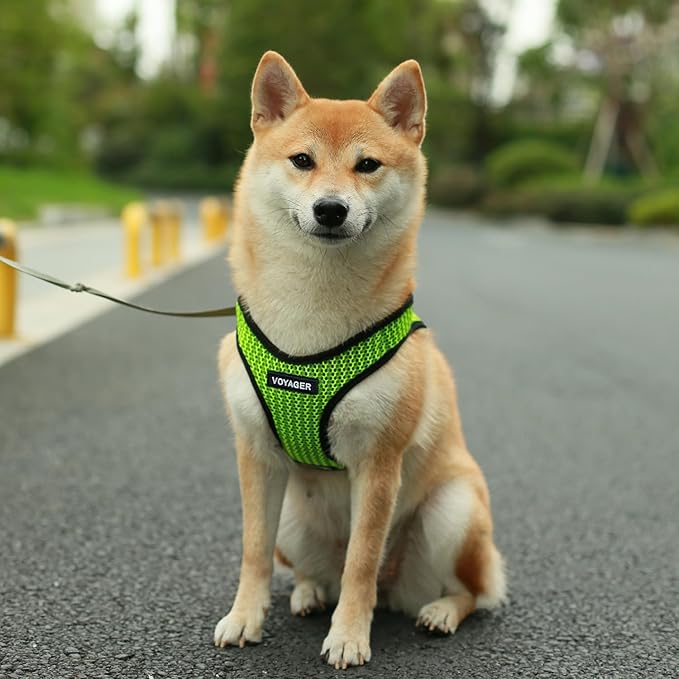 Best Pet Supplies - All Weather Mesh/Plush, Reflective, No Pull Harness for Small, Medium Dogs, Cats - Secure with Hook & Loop Fastener, Buckle, Double D-Rings - Lime Green 2-Tone, XL