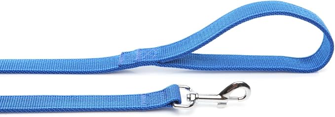 Strong Nylon Dog Leash with 2-Layer, 4 FT/ 6 Feet Long, 1 Inch Wide for Medium Large Dogs (1'' x 7 FT, Blue)