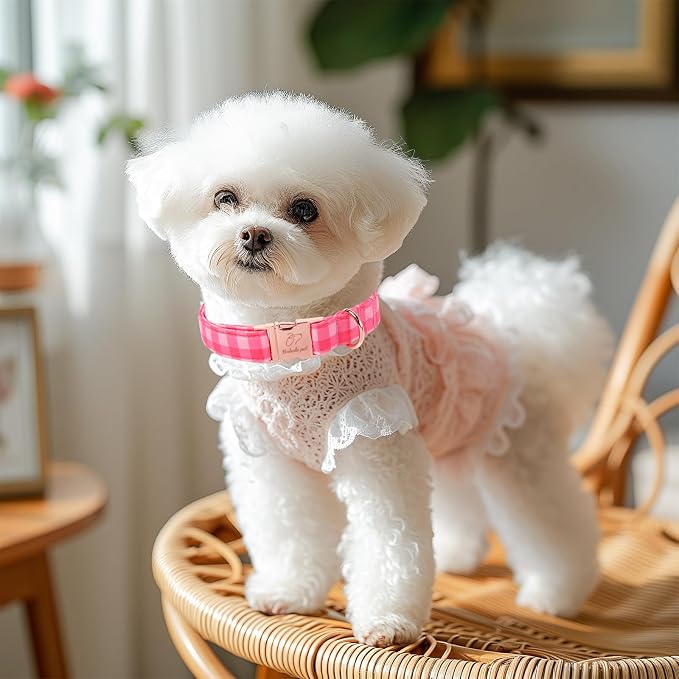 Pink Checkerboard Dog Collar, Classic Girly Plaid Dog Collars, Adjustable Heavy Duty Girl Dogs Collar for Small Medium Large Dogs with Metal Buckle XS