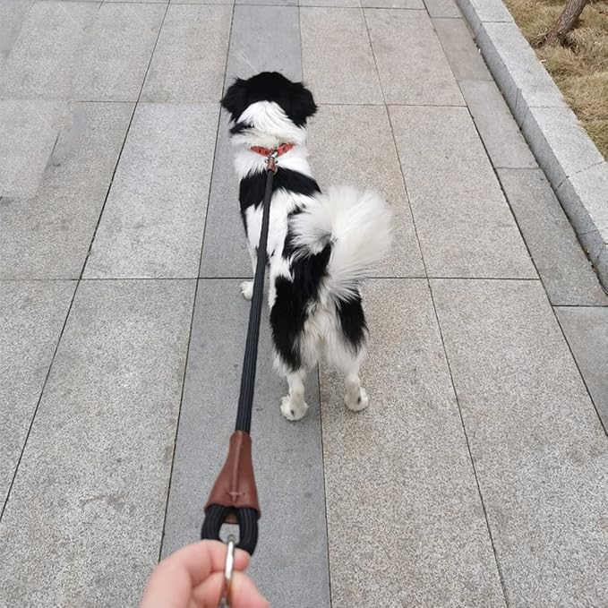 No Handle Dog Leash 3/6 FT, Dog Tether Training Lead Tie Down, Extension Rope for Exercising, Car, Bicycle, Outdoor, Running, Walking (6FT X 1/2inch)