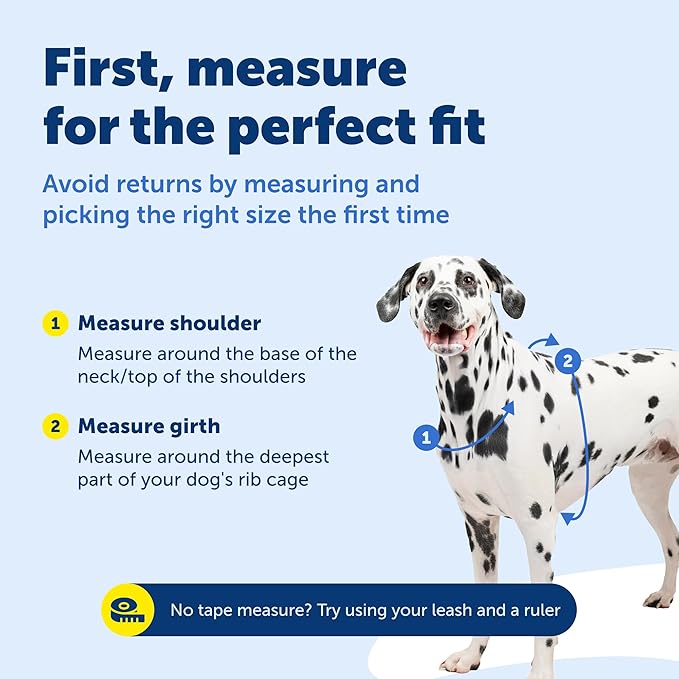 PetSafe 3 in 1 No-Pull Dog Harness for Medium Dogs- Walk, Train or Travel - Helps Pets from Pulling on Walks - Seatbelt Loop Doubles as Quick Access Handle - Reflective - Medium, Plum