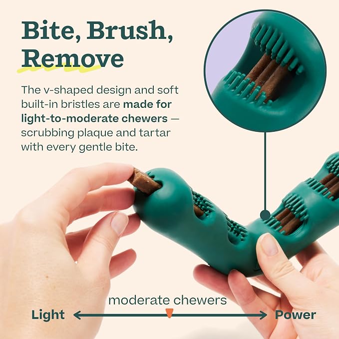 WOOF The Bite n' Brush - Dog Toothbrush Toy - Scrub Plaque and Tartar from Your Dog's Teeth and Mouth - Dog Dental Chew Toy - Large