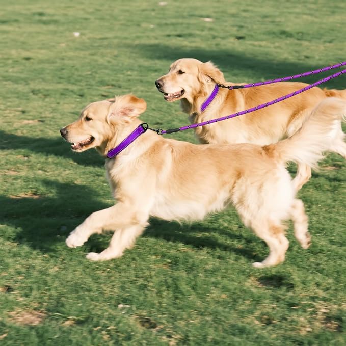 Taglory Double Dog Leash Coupler for Two Dogs, 1/3" Lightweight Dual Leash Extension for Small and Medium Dogs, No Tangle 360° Swivel, Reflective Rope, 30 Inch, Purple