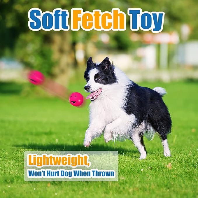 HOLYSTEED Squeaky Dog Toys for Medium Dogs, Soft Latex Squeaky Dog Balls, Smile Dog Toys 6pcs Round Balls for Small, Medium Breeds