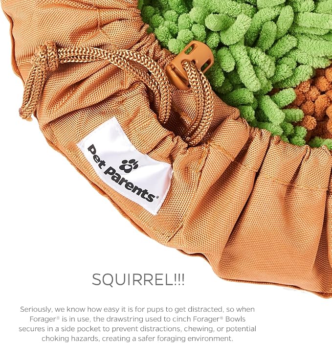 PET Parents Forager Snuffle MAT and Slow Feeder Dog Bowl, Meadow Natural