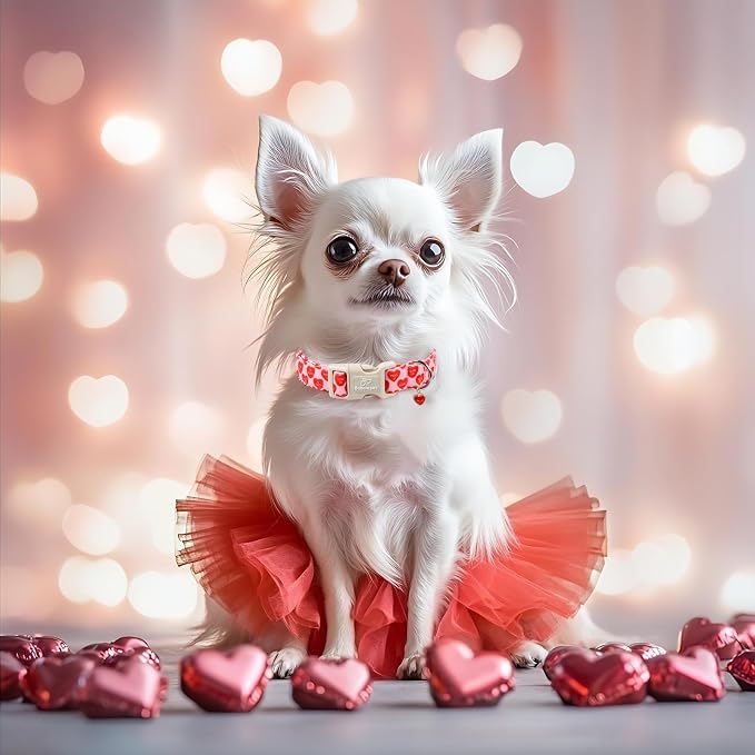 Valentines Dog Collar for Large Dogs - Valentine Red Conversation Hearts Dog Collars, Love Boy Girl Dogs Collars, Lightweight Adjustable Cute Puppy Collar with Quick-Release Buckle XL