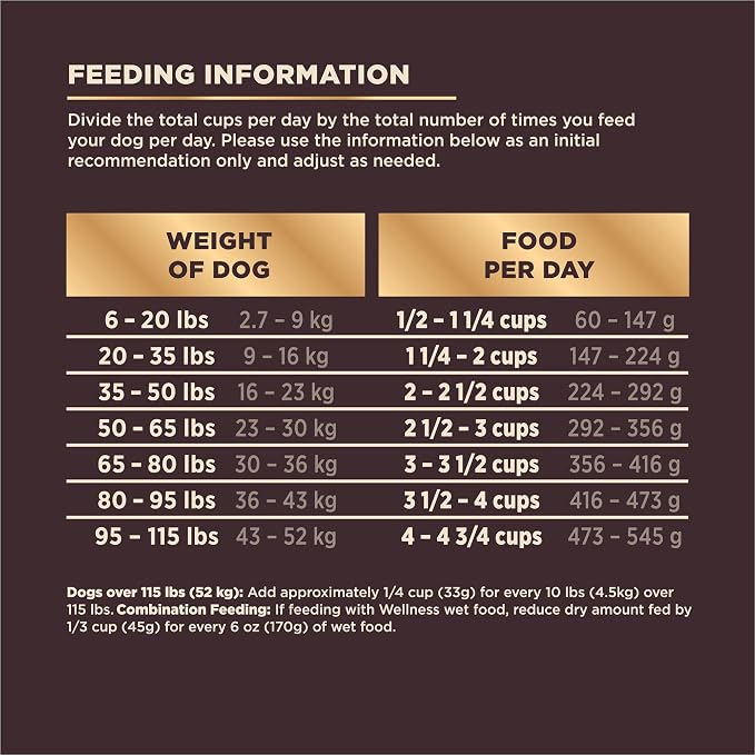 Wellness CORE+ Dry Dog Food with Wholesome Grains, Natural Ingredients, Made in USA with Real Freeze-Dried Meat (Adult, Turkey, 4 lbs) (Pack of 2)