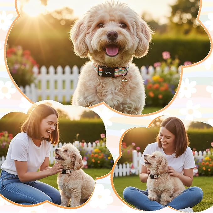 Dog Collar with Rainbows & Flowers Patterns, Spring Summer Collection Dog Collar with Exquisite Pendant, Durable Adjustable Collars for Gifts & Daily Use-M