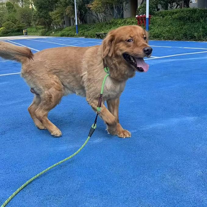 MayPaw Heavy Duty Rope Dog Leash, 3/4/5/6/7/8/10/12/15 FT Nylon Pet Leash, Soft Padded Handle Thick Lead Leashes for Large Medium Dogs (10' x 1/2")