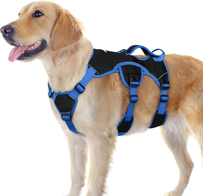 rabbitgoo Escape Proof Dog Harness Large Dogs, Soft Padded Full Body Pet Harness, Reflective Adjustable No Pull Vest with Lift Handle and Leash Clip for Walking Hiking Training, Blue & Black, L