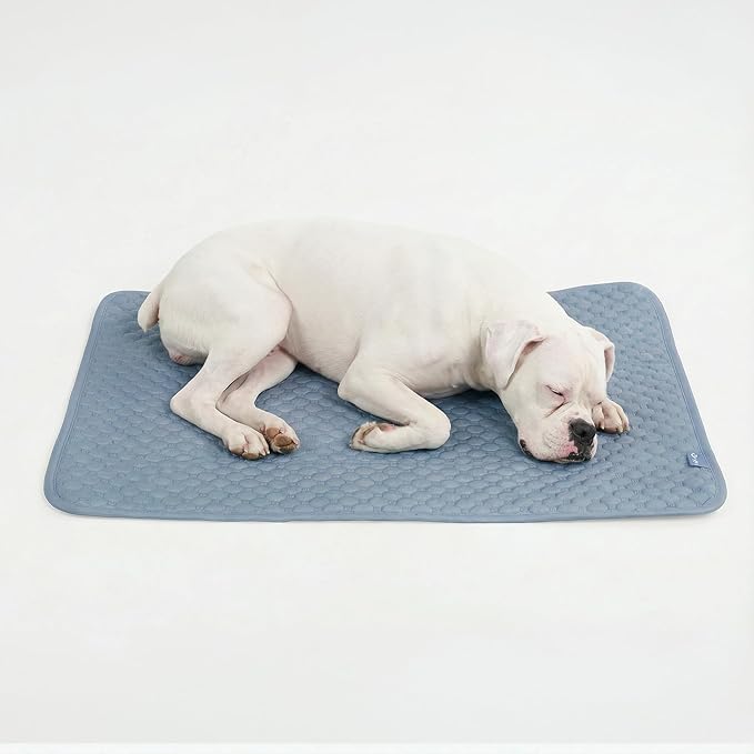 Spark Paws Cooling Mat for Dogs - Self Cooling Dog Mat & Pet Cooling Pad for Large, Medium & Small Dogs - Non-Toxic, Non-Gel Washable Cooling Bed - Ash Blue - Size 2XL