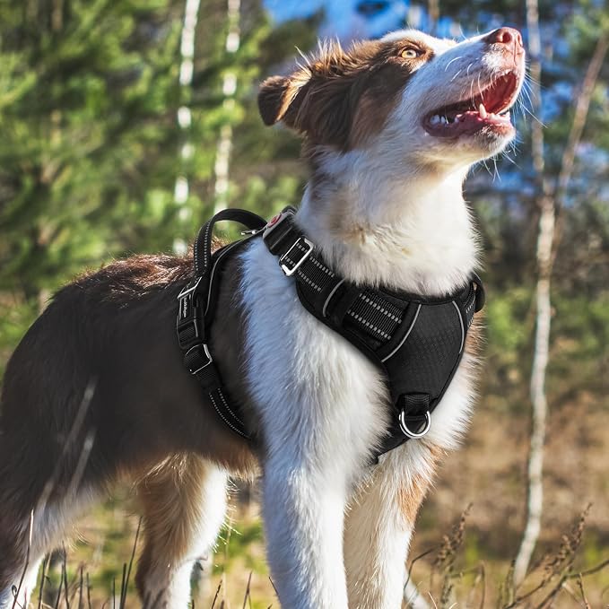 rabbitgoo Dog Harness Medium Sized, 3 Buckles Easy On & Off No Pull Pet Vest, Soft Padded Walking Pet Harness with Control Handle, Adjustable and Reflective, Black, M
