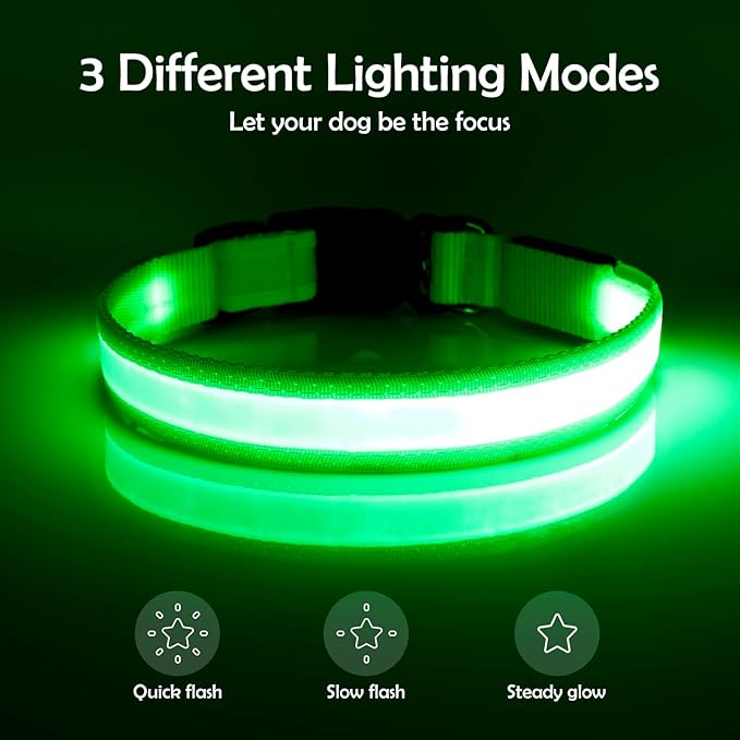 Vizpet LED Dog Collar, Light Up Dog Collar Adjustable USB Rechargeable Super Bright Safety Light Glowing Collars for Dog(Small,Green)