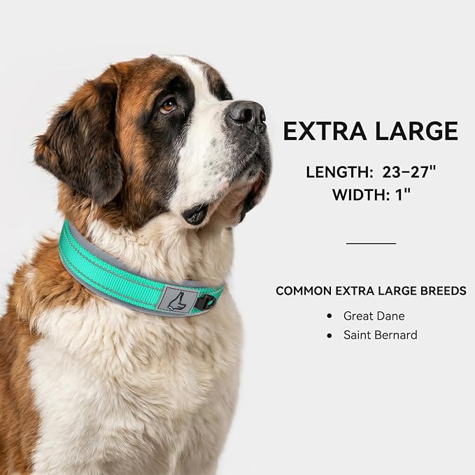Joytale Dog Collar for Extra Large Dogs, Neoprene Padded and Adjustable, Reflective Wide Heavy Duty Pet Collars with Durable Metal Belt Buckle for Walking, Teal, XL