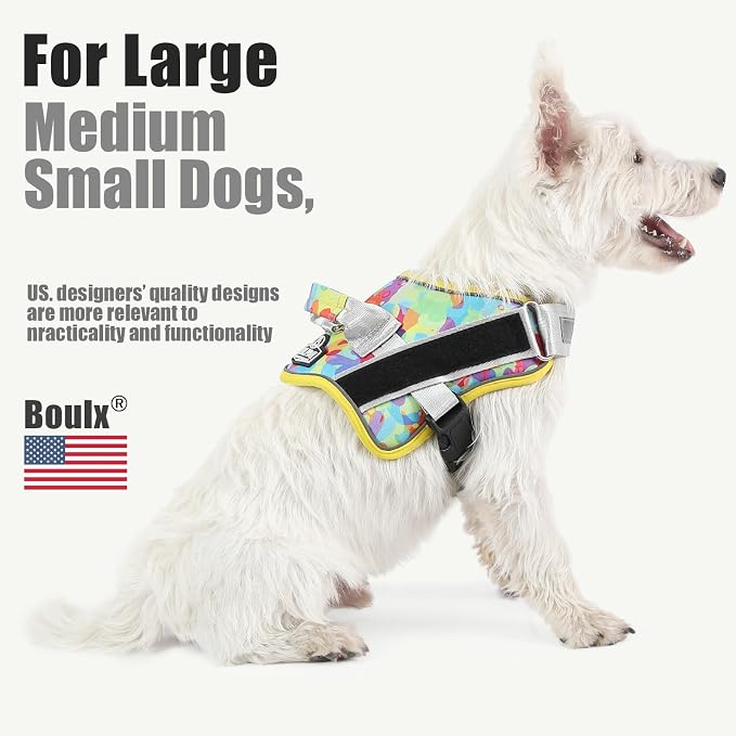 Dog Harness, No-Pull Reflective Dog Vest, Breathable Adjustable Pet Harness with Handle for Outdoor Walking - No More Pulling, Tugging or Choking (X-Small (Pack of 1), Watercolour)