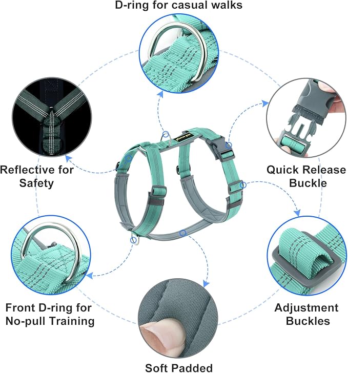 Plutus Pet No Pull Dog Harness, Adjustable Nylon Harness with Soft Padding, Reflective and Heavy Duty Dog Harness for Small, Medium, Large Dogs(Teal, XL)