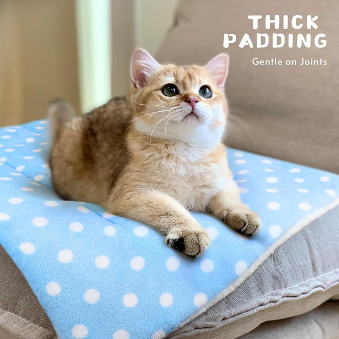 2 Pack Cat Blanket for Indoor Cats Ultra Soft and Warm Calming Cat Bed Fleece Pet Mat for Anxiety and Stress Washable Kitten Blanket